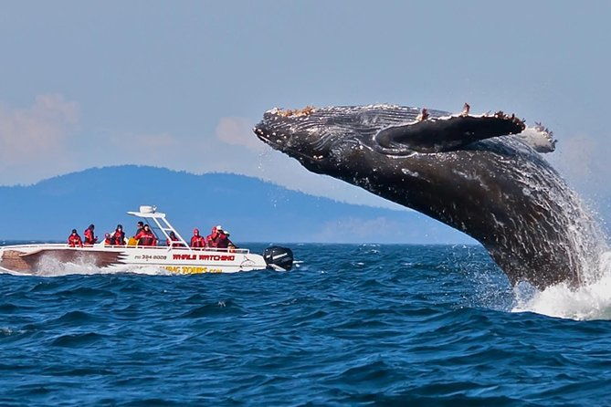 Wild Wonders Of Sri Lanka | 7 Days - What Makes This Tour Worth It?