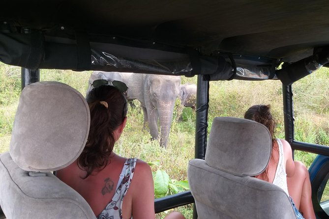 Yala half day safari - Pricing and Value