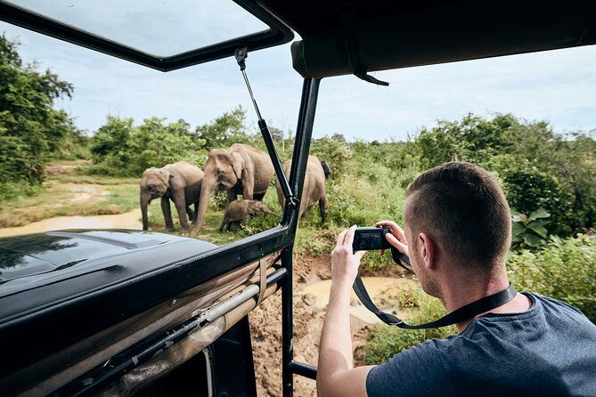 Yala National Park Wildlife Safari/ Game Drive - by Ajith Safari - Authentic Insights from Reviewers