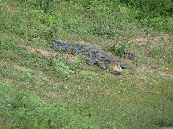 Yala One Day Tour - FAQs