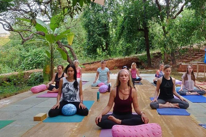 Yin Yoga Therapy Training - 200 Hours (Yoga Alliance) - Why Travelers Love This Course: Authentic Feedback & Insights