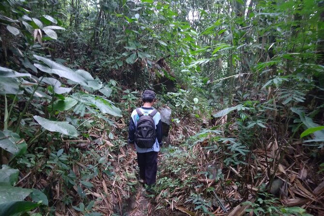 Yogyakarta Countryside Walking Tour - Practical Tips for a Smooth Experience