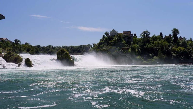 Zürich/Lucerne: Rhine Falls, Titisee & Black Forest Day Trip - What Sets This Tour Apart?