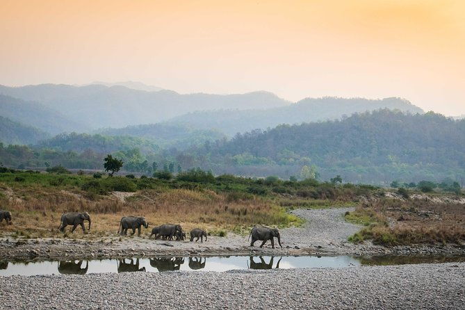 2N Jim Corbett National Park (Dhikala Zone) - Key Points
