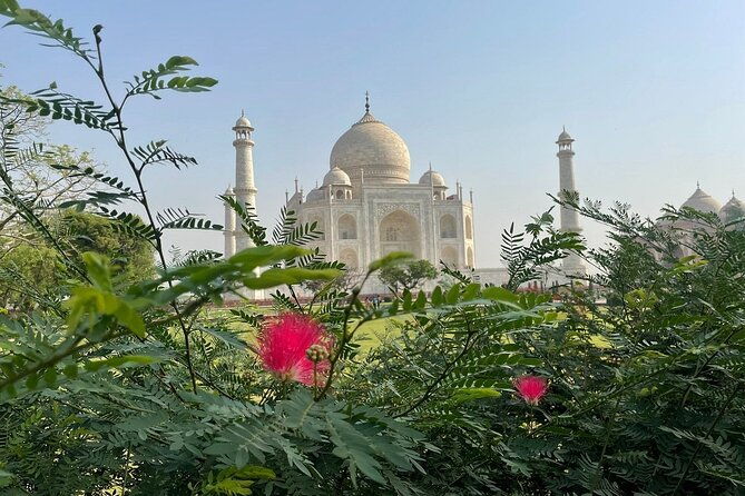 3-Day Taj Mahal Sunrise, Delhi & Ranthambore Tiger Safari tour - Exploring the Itinerary in Detail