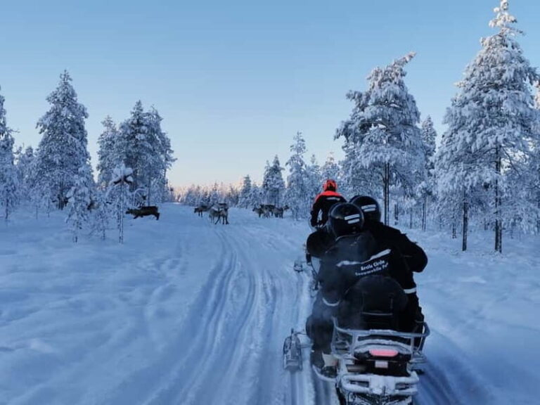 3-hour snowmobiling adventure in Levi - Itinerary Breakdown