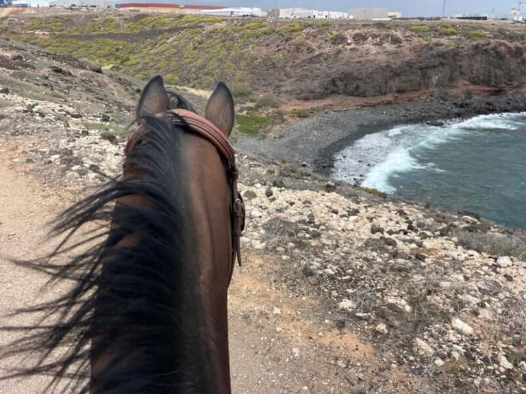 3 hours Horse Riding Tour to the Coast - The Route and Stops