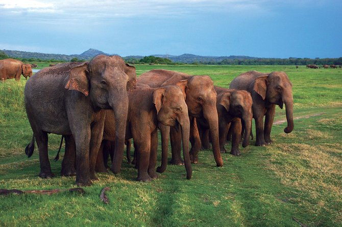 03 Nights in Amazing Sri Lanka - Who Would Love This Experience?
