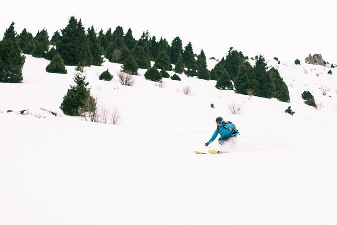1-day Backcountry Tour - Why This Tour is a Great Choice