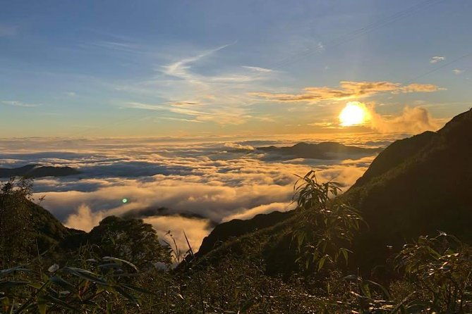 1 day Fansipan Trekking - Why This Tour is Worth Considering