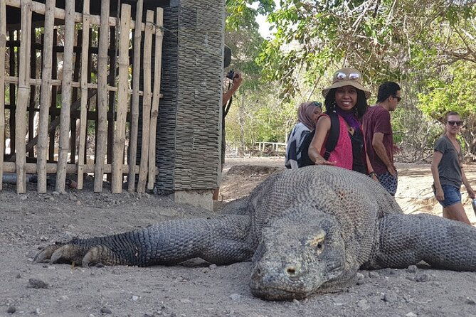 1- day Komodo island Tour hopping around by Speed Boat - Diving into the Itinerary