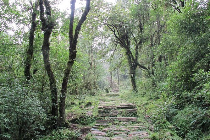 1-Day Private Dhampus Trekking Tour - FAQ