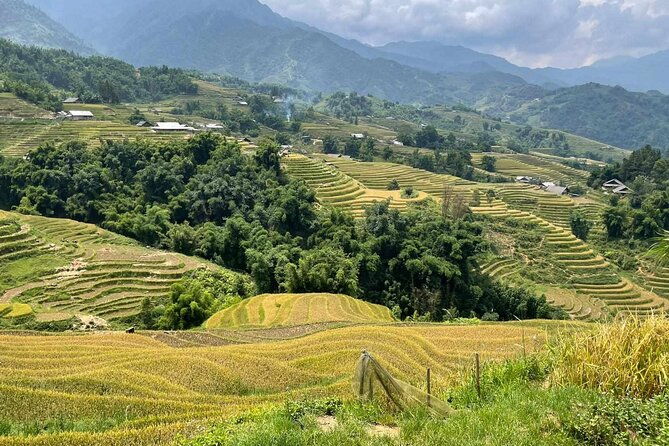1 Day Sapa Authentic Trekking ( off beaten track ) - Practical Details and Value