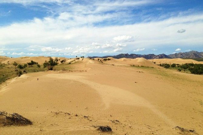 1 Day Semi-Gobi Tour Including Lunch And Free Camel +Bonus Khustai National Park - Transportation, Duration, and Practicalities