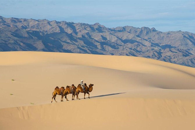 1 Day Semi-Gobi Tour with Lunch And Enjoying Camel or Horseback - Who Is This Tour Best Suited For?