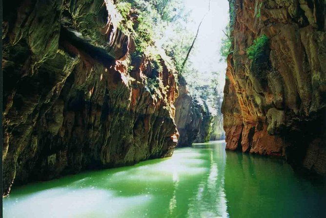 1 Day Stone Forest & Jiuxiang Cave Tour - Who Should Consider This Tour?