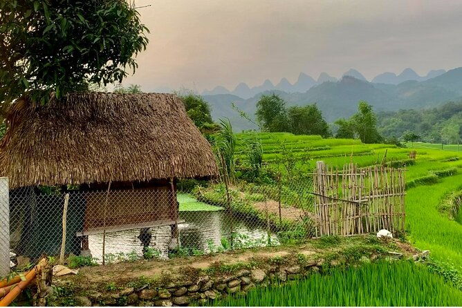 1 Day Trekking Tour in Ha Giang with Local Experts - Frequently Asked Questions