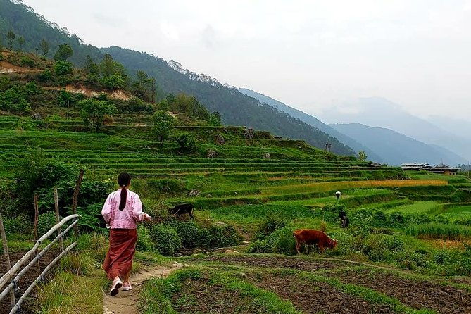 10 Days Essence of BHUTAN - Guides & Local Insight