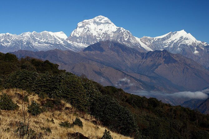 12-Day Nepal Adventure Trek with Jungle Safari - FAQs