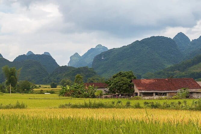 12 Days in Vietnam | Cultural Exploration with Beach Escapes - FAQ