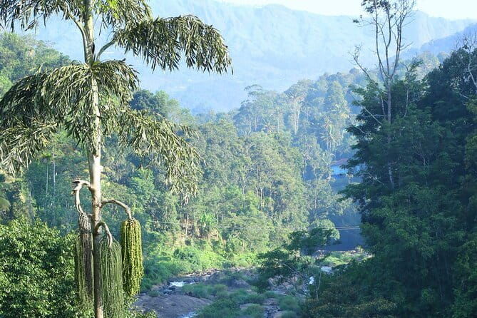 12 Hours Private Munnar Tour from Kochi - Final Thoughts