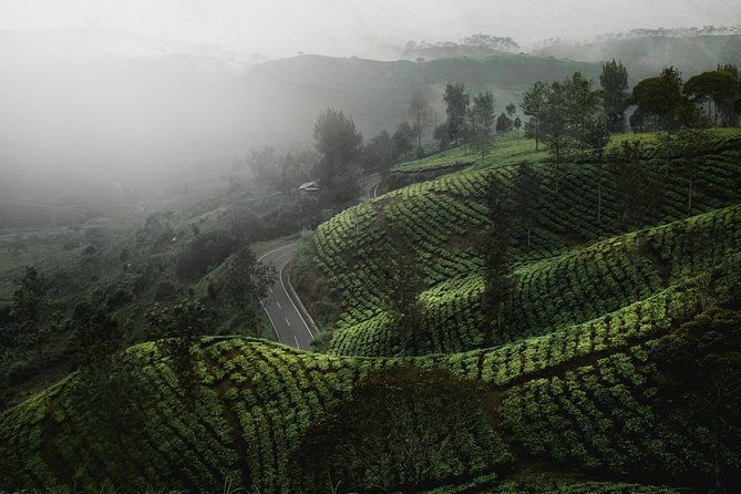 14 Days Sri Lanka Tour - Explore Sri Lanka - FAQ