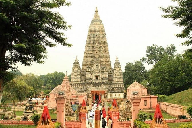 15 Days - Golden Triangle Tour with Buddhist Circuit - Accommodation and Comfort