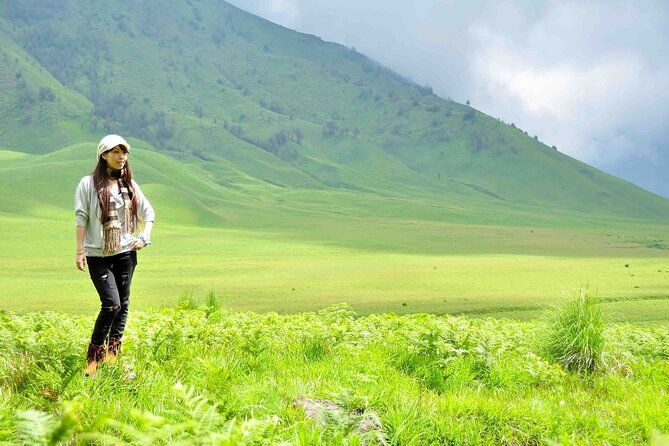 1Day - Bromo Non Sunrise Tour via Malang (to avoid crowd) - Who Will Love This Tour?