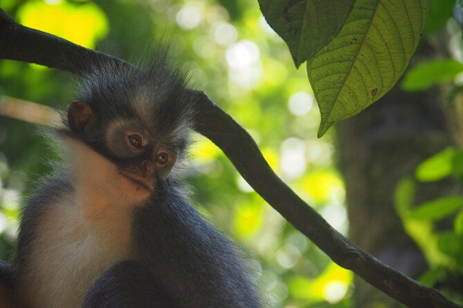 2-Day Jungle Trekking & Rafting in North Sumatra - Authentic Experiences & Insights from Reviewers
