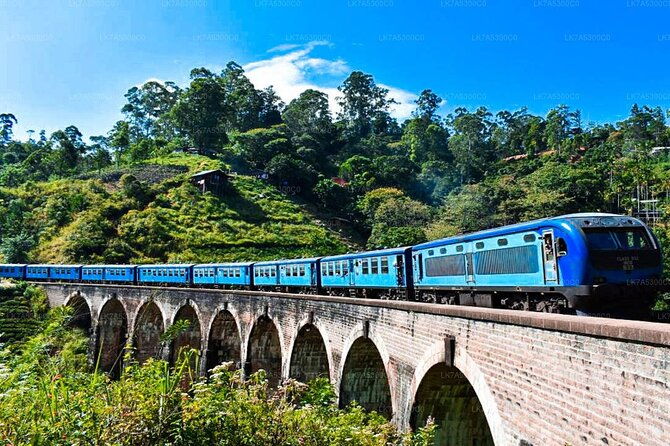 2 Day Tour of Yala & Ella with Hill Country Scenic Train Ride - All Inclusive - Transport & Logistics: Why They Matter