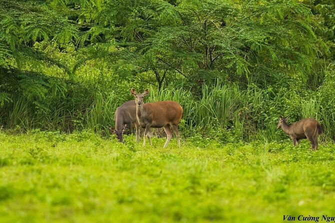 2-Day Trekking & Biking Nam Cat Tien National Park from HCM City - The Long Drive and Overall Value