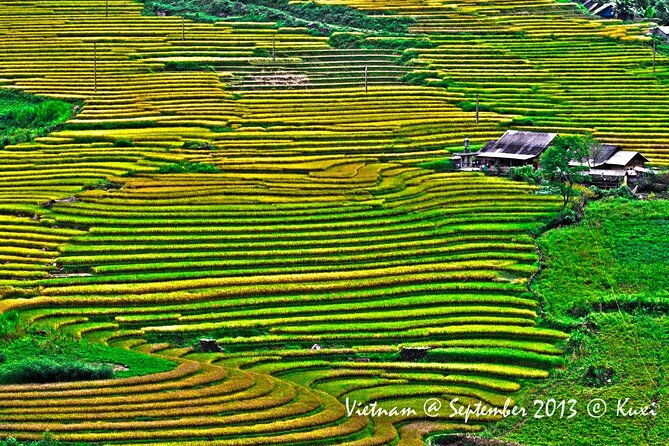 2 days authentic trekking tour in Sapa ( Homestay - Less touristy ) - The Sum Up