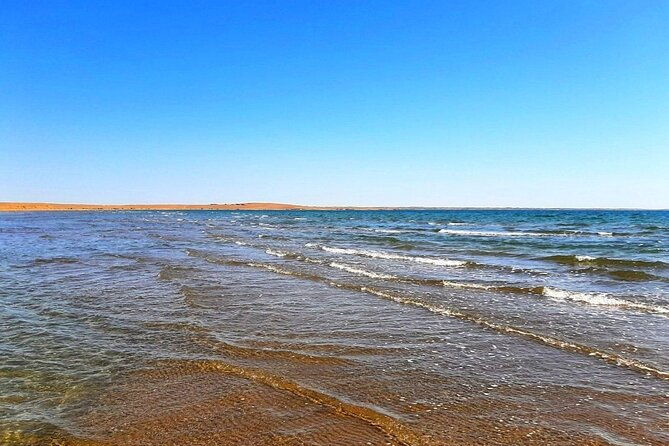 2 Days of Tour in Yurt Camp and Aydarkul - The Authenticity and Value of the Tour