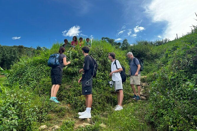 2 days private Wildland Trek in Sapa - Authentic Encounters and Review Highlights  