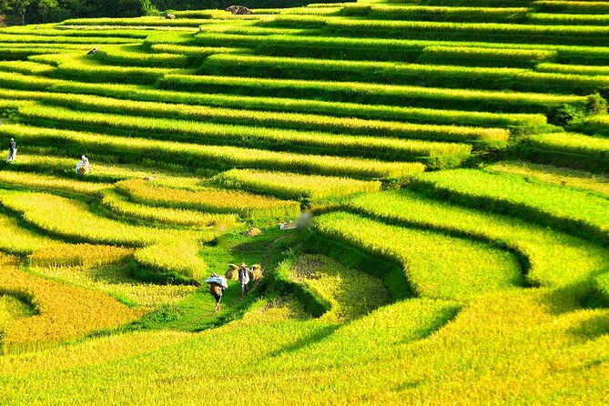 2 Days Pu Luong Offbeat Trekking Best for Mountain Lovers - Wrapping It Up  