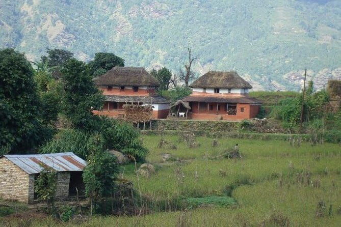 2 Night 3 Day Chitwan Jungle Safari Tour from Pokhara - What’s Included & What to Consider