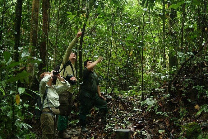 2-Night Danum Valley Borneo Rainforest Lodge Hiking and Wildlife Adventure - Final Thoughts