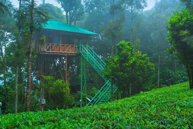 2 Nights Munnar Treehouse Escape with Private Car- Iris Holidays - The value of this experience