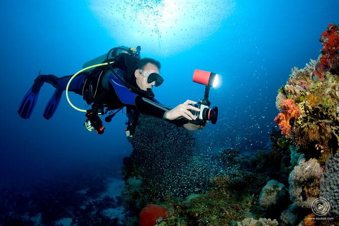 2 or 3 dives in Nusa Lembongan and Penida, for certified diver (in Lembongan) - Who Should Book This Tour?