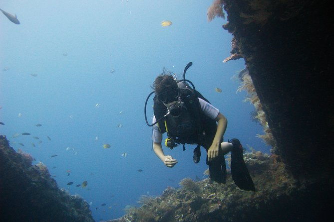 2 PADI Certified Dives at Tulamben from Bali - The Sum Up: Is It Worth It?