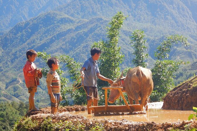 2D1N Buffalo trek by Hmong Sister House and Trekking - Day 2: Trekting Down, Waterfalls, and Village Life