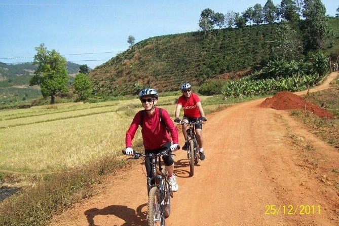 2Days tour to Nha trang from Dalat - What Reviewers Say