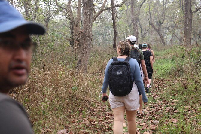 3-Day Chitwan National Park Jungle Safari Tour Package with Pick Up - Who Should Consider This Tour?