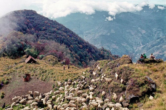 3-Day Ghandruk Loop Trek from Pokhara - Who Should Consider This Tour?