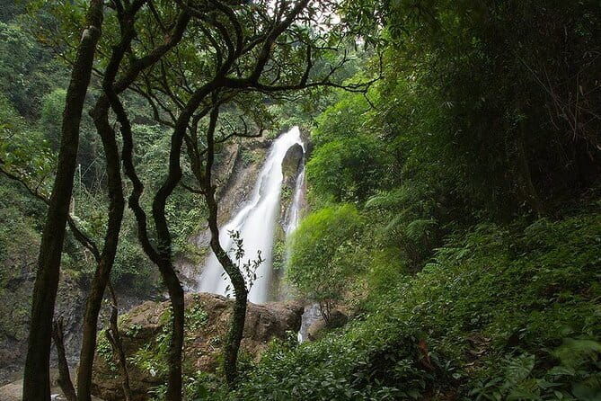 3 Day Phuket to Khao Sok National Park Tour Package - Final Thoughts: Is This Tour Right for You?