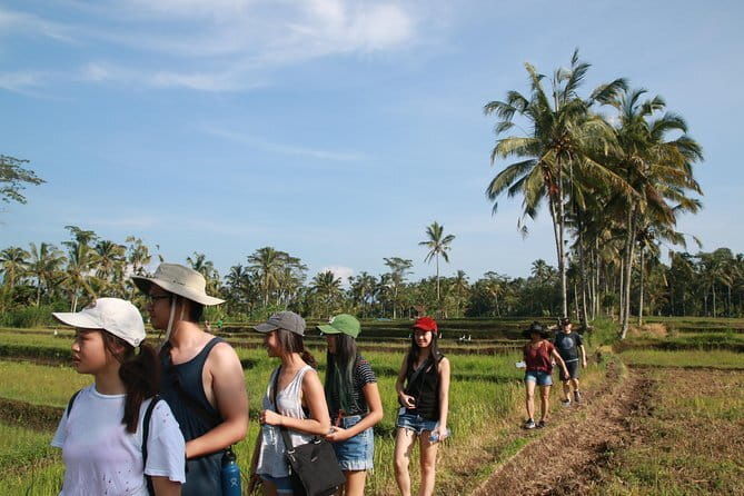 3-Day Private Sightseeing Tour of Bali with Hotel Pickup - Authentic Experiences and Cultural Immersion