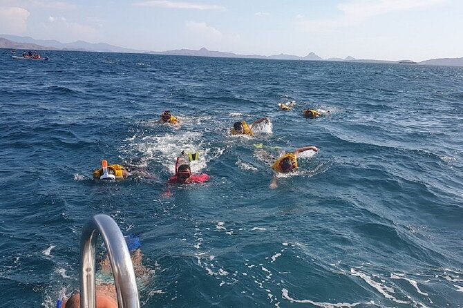 3-Days Sailing Komodo Island,Padar & Manta Point departure every Friday - Practical Considerations & Tips for Travelers