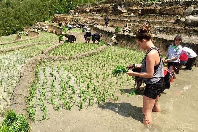 3 Days SAPA Real Experience at Local People House - Who Is This Tour Best For?