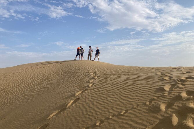 3 Days Tour in Wild Desert Safari - FAQs