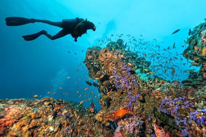 3 Fun dives in Phi Phi islands for Certified Divers - The Experience on the Boat